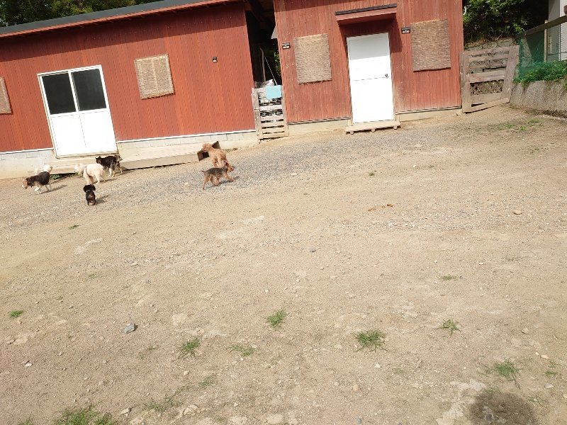 f:id:roukenhome-ann:20200603204256j:plain f:id:roukenhome-ann:20200603204256j:plain