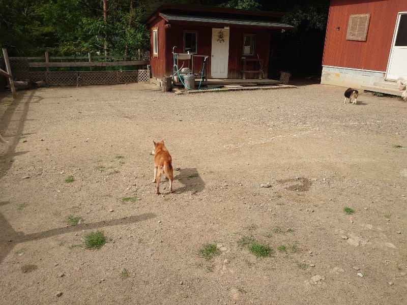 f:id:roukenhome-ann:20200603204302j:plain f:id:roukenhome-ann:20200603204302j:plain
