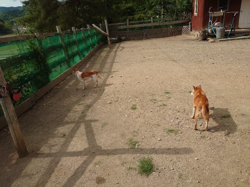f:id:roukenhome-ann:20200603204312j:plain f:id:roukenhome-ann:20200603204312j:plain