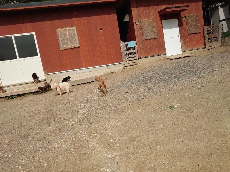 f:id:roukenhome-ann:20200603204425j:plain f:id:roukenhome-ann:20200603204425j:plain