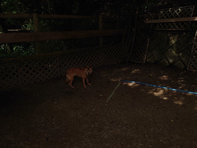 f:id:roukenhome-ann:20200603204516j:plain f:id:roukenhome-ann:20200603204516j:plain