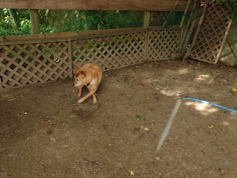 f:id:roukenhome-ann:20200603204526j:plain f:id:roukenhome-ann:20200603204526j:plain