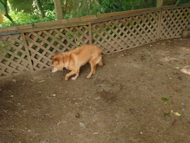 f:id:roukenhome-ann:20200603204531j:plain f:id:roukenhome-ann:20200603204531j:plain