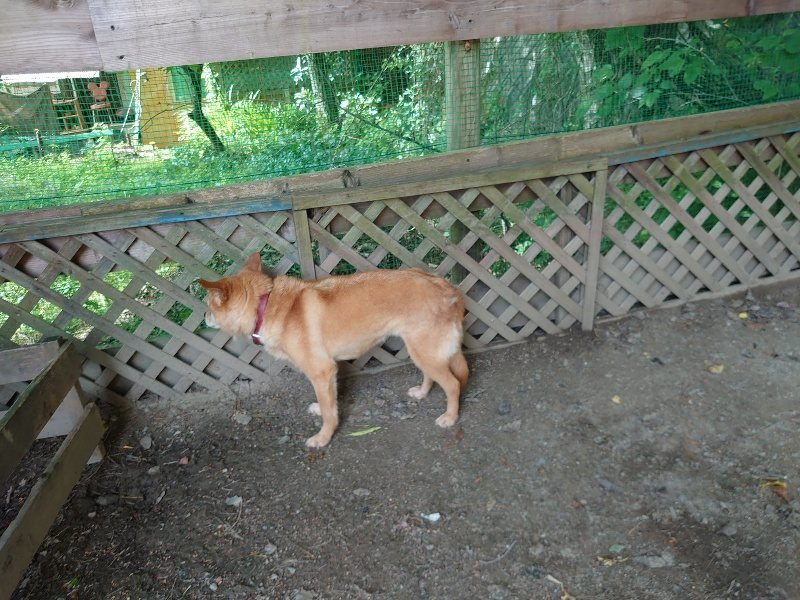f:id:roukenhome-ann:20200603204548j:plain f:id:roukenhome-ann:20200603204548j:plain