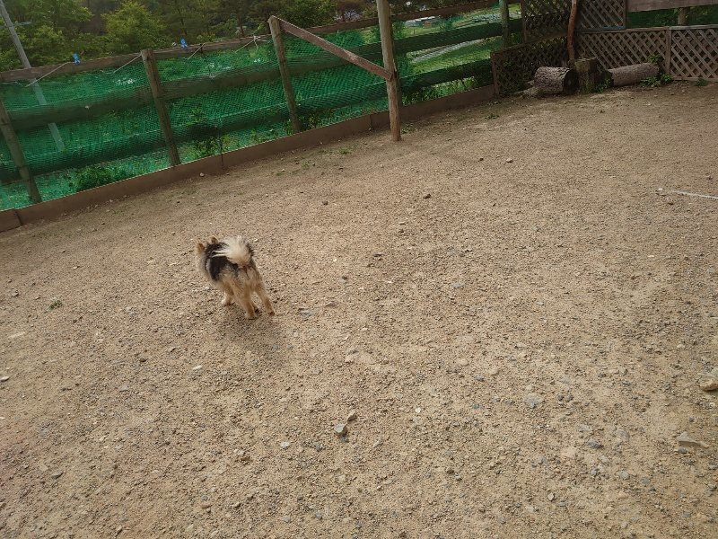 f:id:roukenhome-ann:20200603204712j:plain f:id:roukenhome-ann:20200603204712j:plain