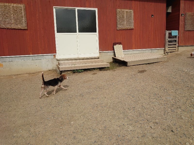 f:id:roukenhome-ann:20200603204844j:plain f:id:roukenhome-ann:20200603204844j:plain
