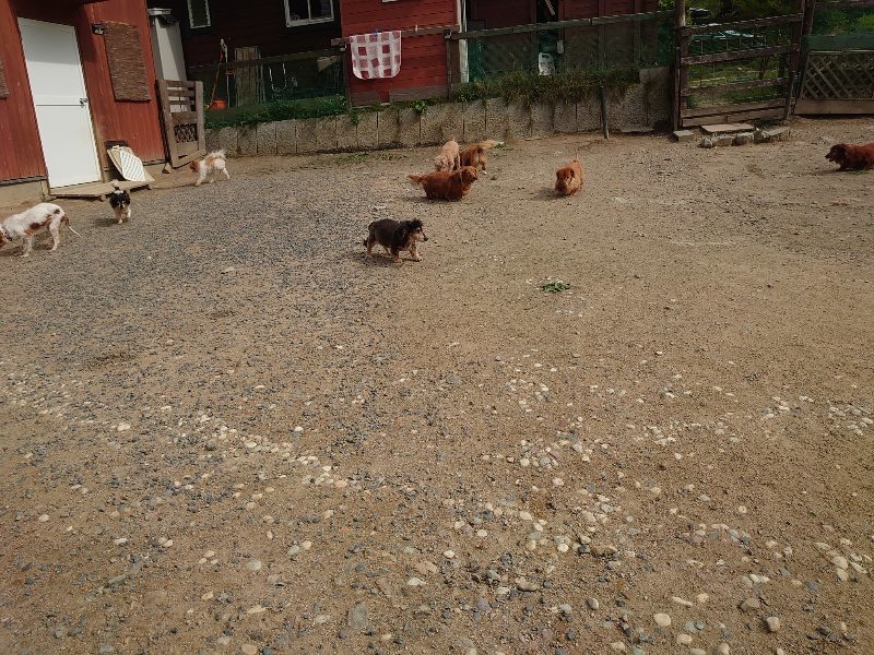 f:id:roukenhome-ann:20200603204851j:plain f:id:roukenhome-ann:20200603204851j:plain