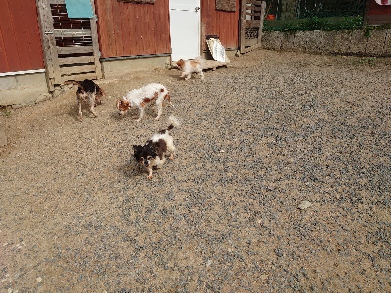f:id:roukenhome-ann:20200603204924j:plain f:id:roukenhome-ann:20200603204924j:plain