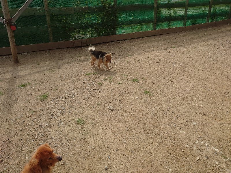 f:id:roukenhome-ann:20200603205611j:plain f:id:roukenhome-ann:20200603205611j:plain