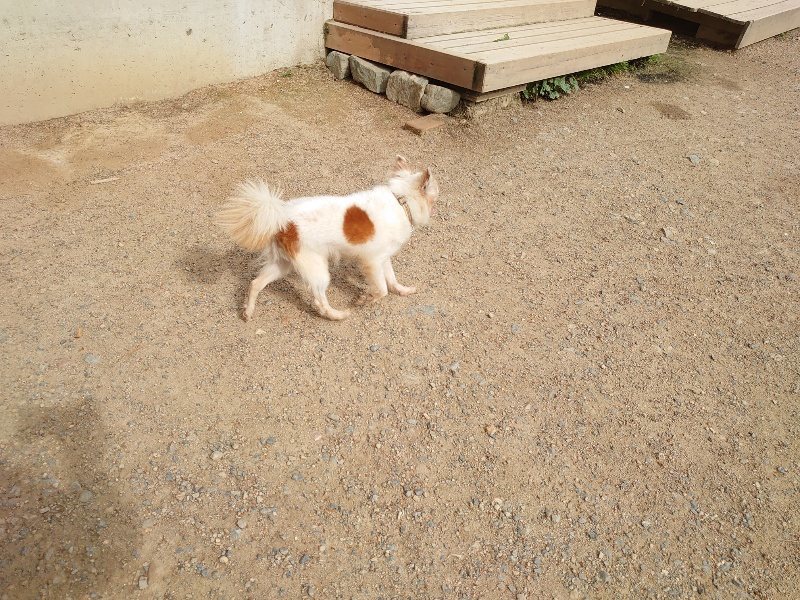 f:id:roukenhome-ann:20200603205641j:plain f:id:roukenhome-ann:20200603205641j:plain