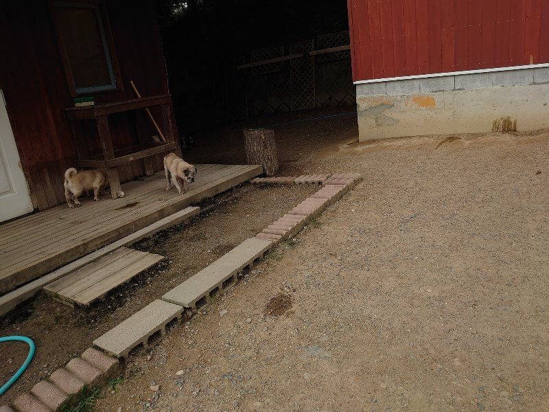 f:id:roukenhome-ann:20200603210453j:plain f:id:roukenhome-ann:20200603210453j:plain