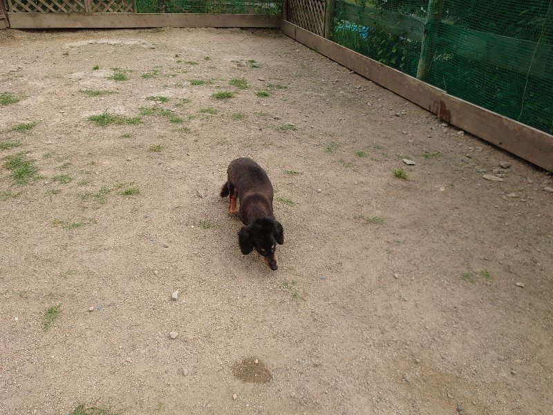 f:id:roukenhome-ann:20200603210921j:plain f:id:roukenhome-ann:20200603210921j:plain