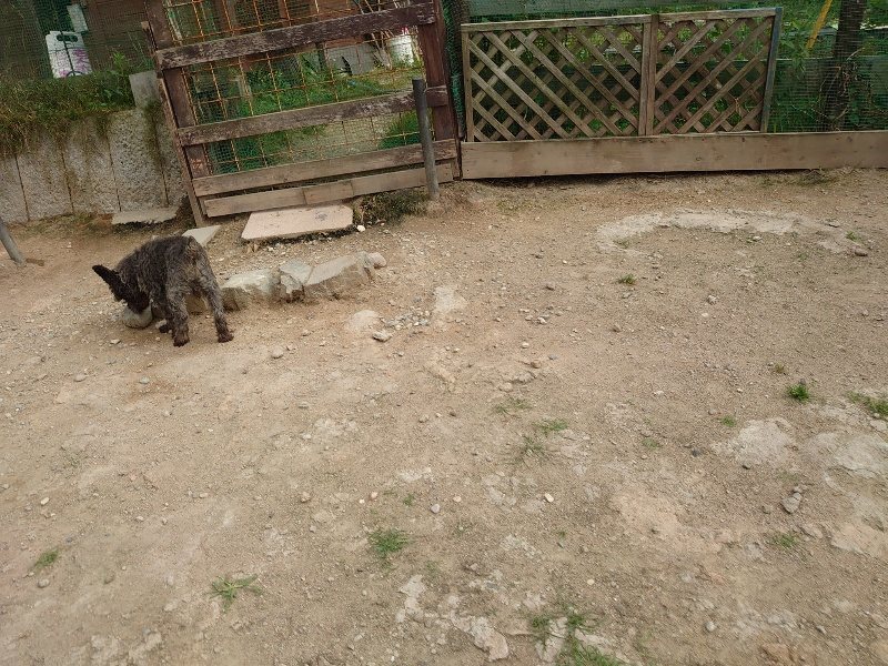 f:id:roukenhome-ann:20200603210943j:plain f:id:roukenhome-ann:20200603210943j:plain