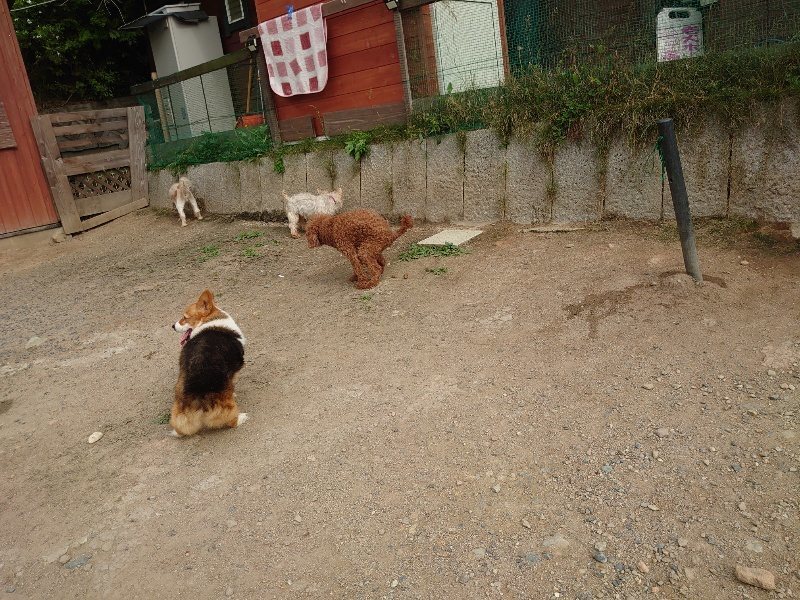 f:id:roukenhome-ann:20200603210959j:plain f:id:roukenhome-ann:20200603210959j:plain