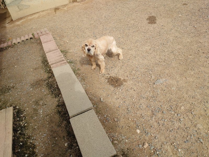 f：id：roukenhome-ann：20200603211840j：plain