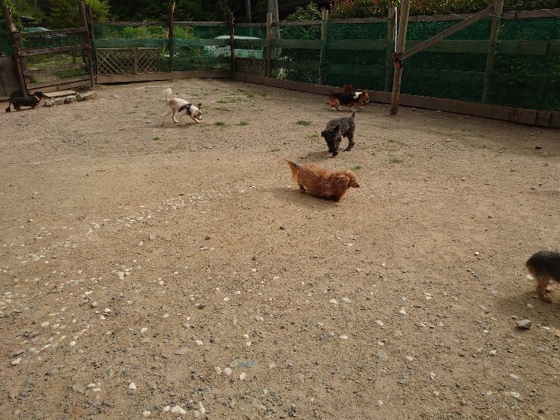 f：id：roukenhome-ann：20200603212244j：plain