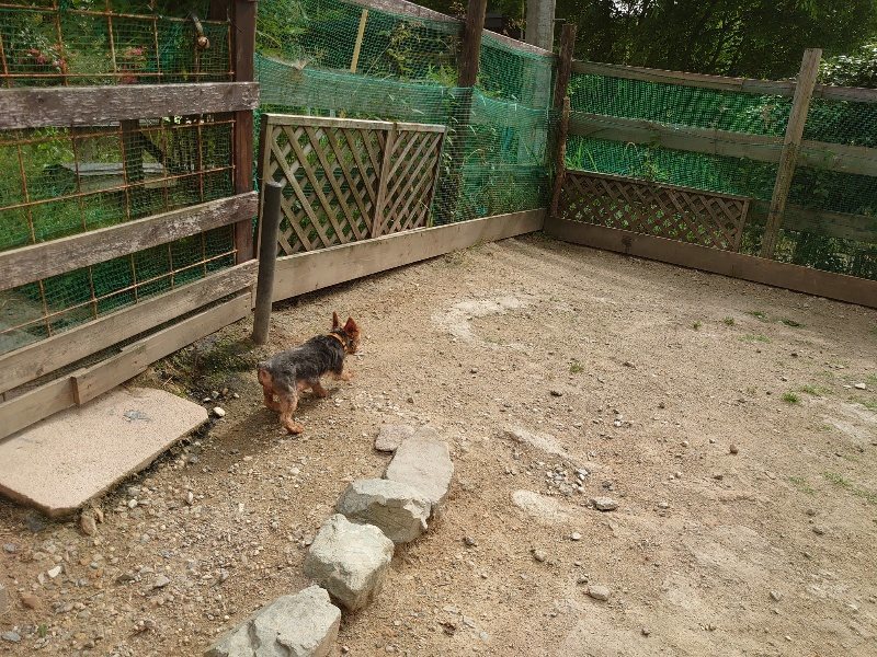 f：id：roukenhome-ann：20200603212328j：plain