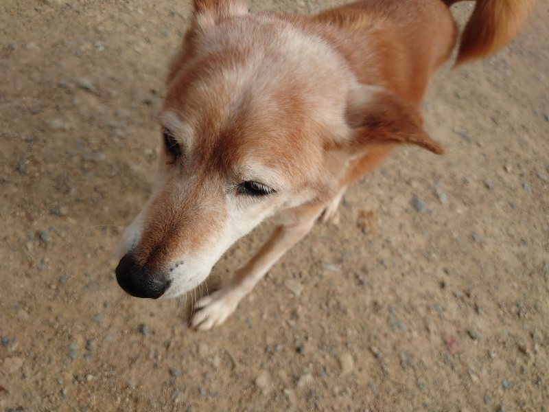 f：id：roukenhome-ann：20200603212407j：plain