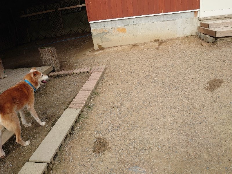 f：id：roukenhome-ann：20200603212439j：plain