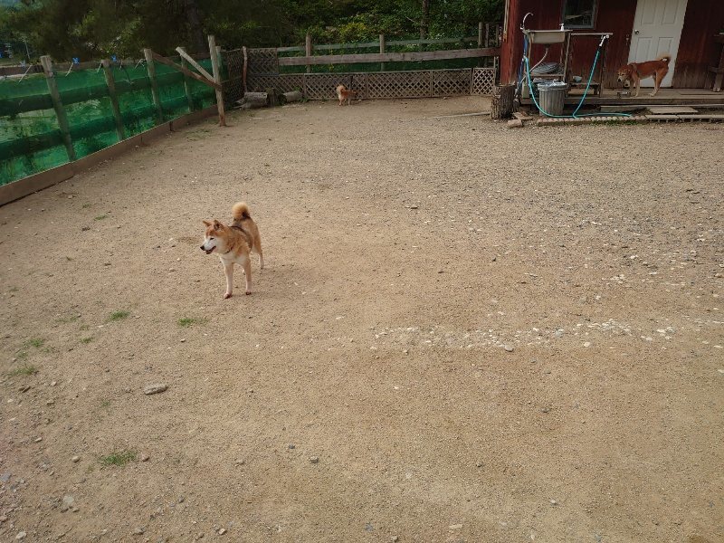 f：id：roukenhome-ann：20200603213049j：plain