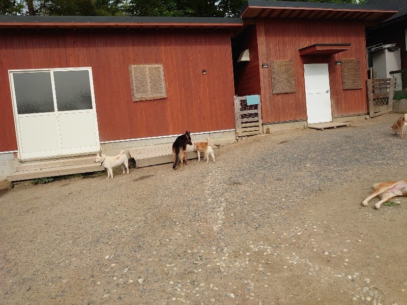 f：id：roukenhome-ann：20200603213242j：plain