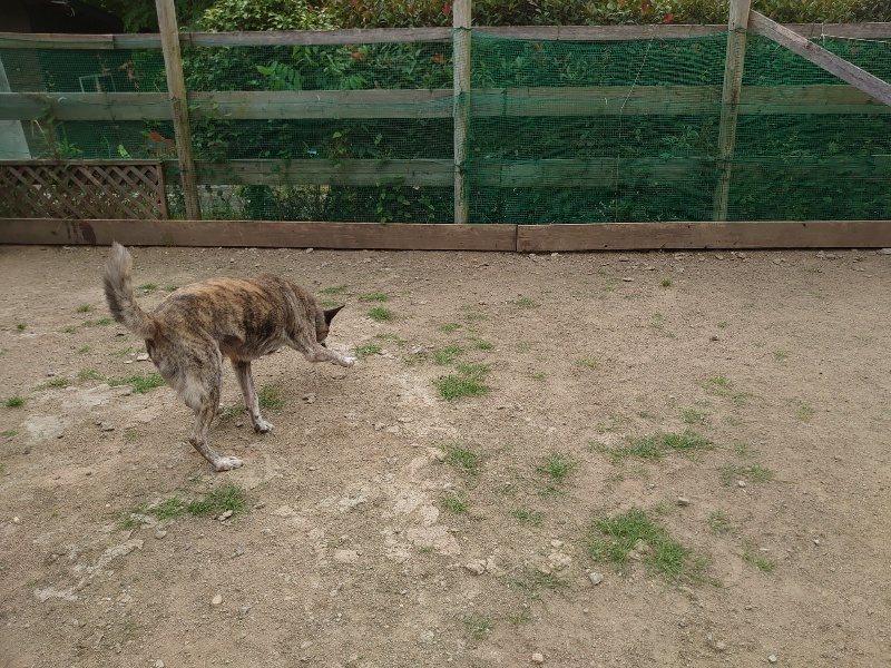 f：id：roukenhome-ann：20200603213501j：plain