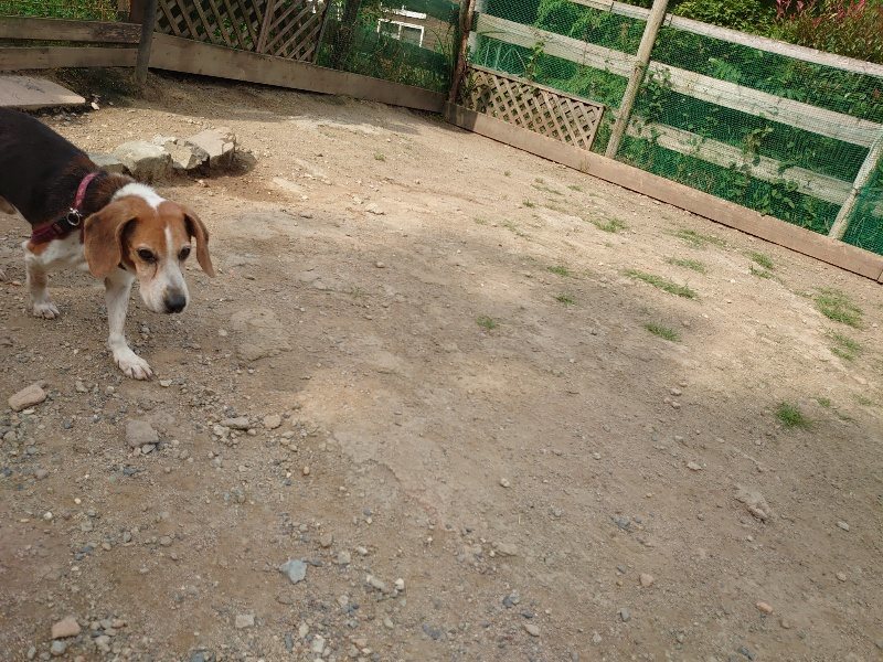 f：id：roukenhome-ann：20200603214043j：plain