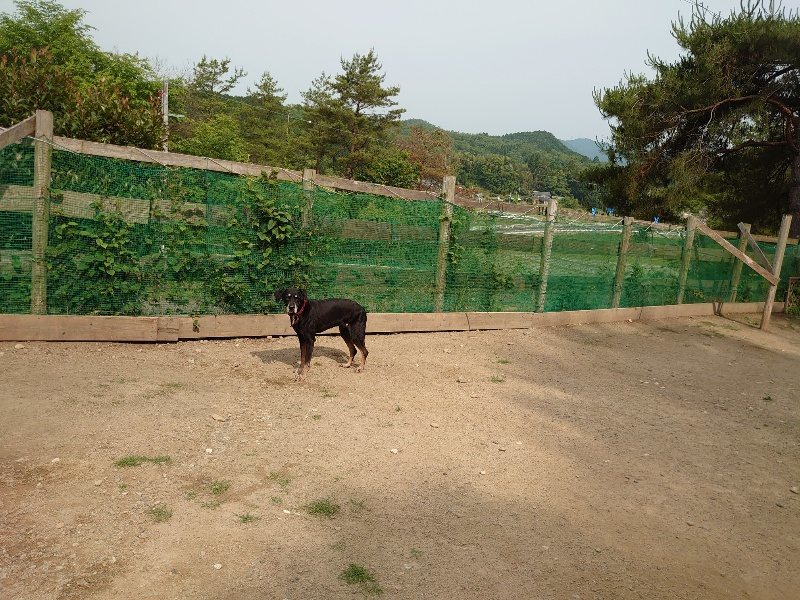 f：id：roukenhome-ann：20200603214144j：plain
