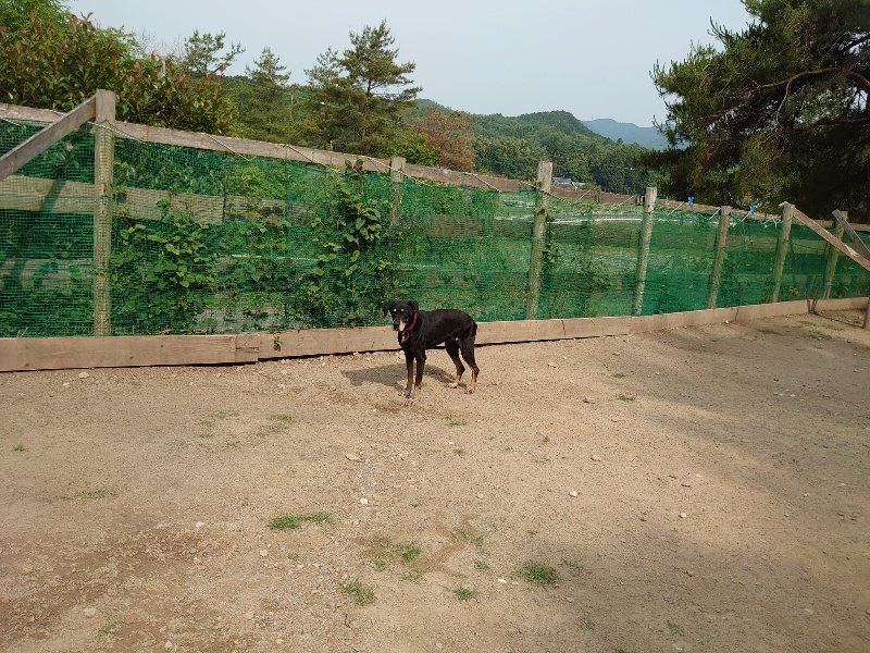 f：id：roukenhome-ann：20200603214156j：plain