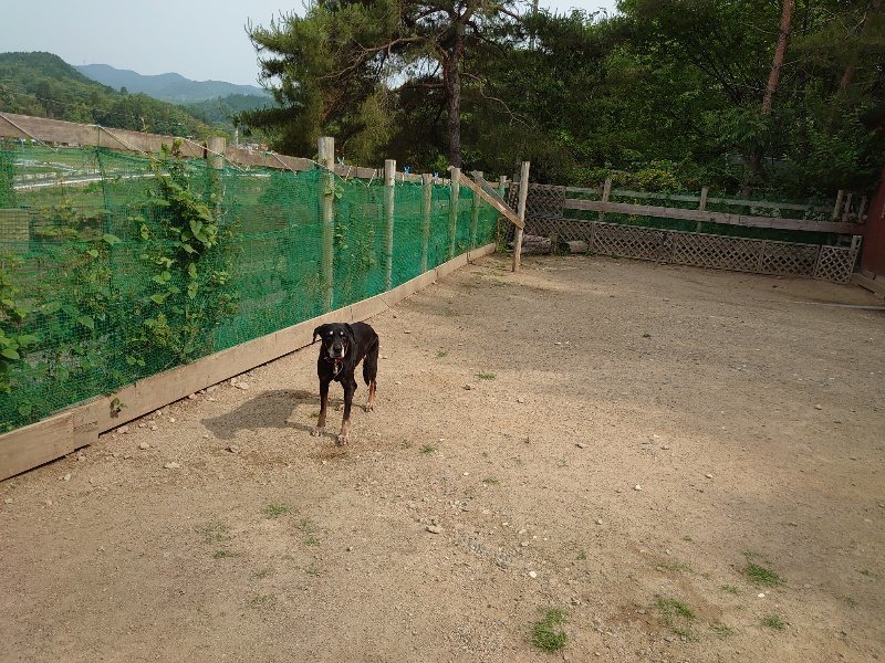 f：id：roukenhome-ann：20200603214227j：plain