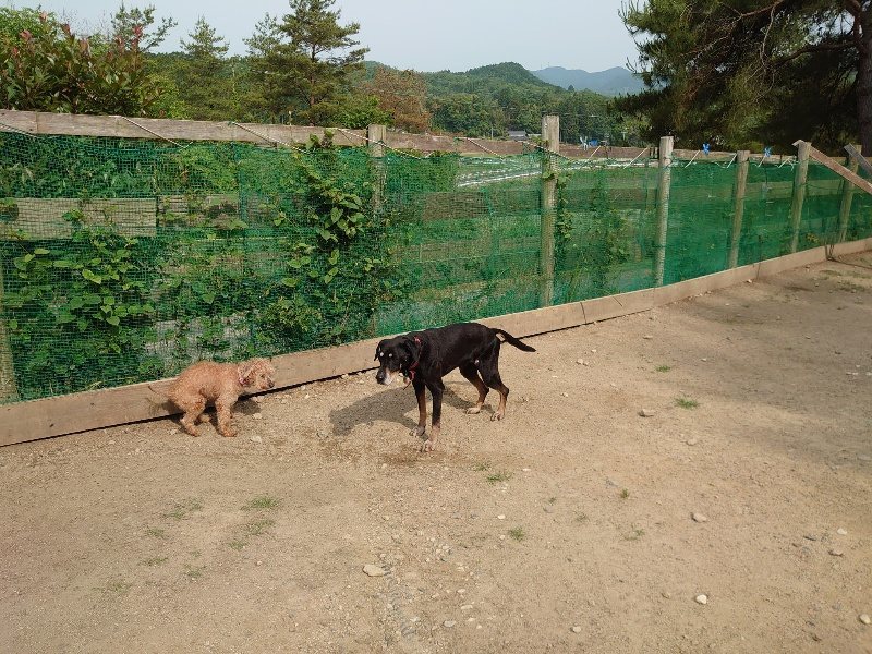 f：id：roukenhome-ann：20200603214358j：plain