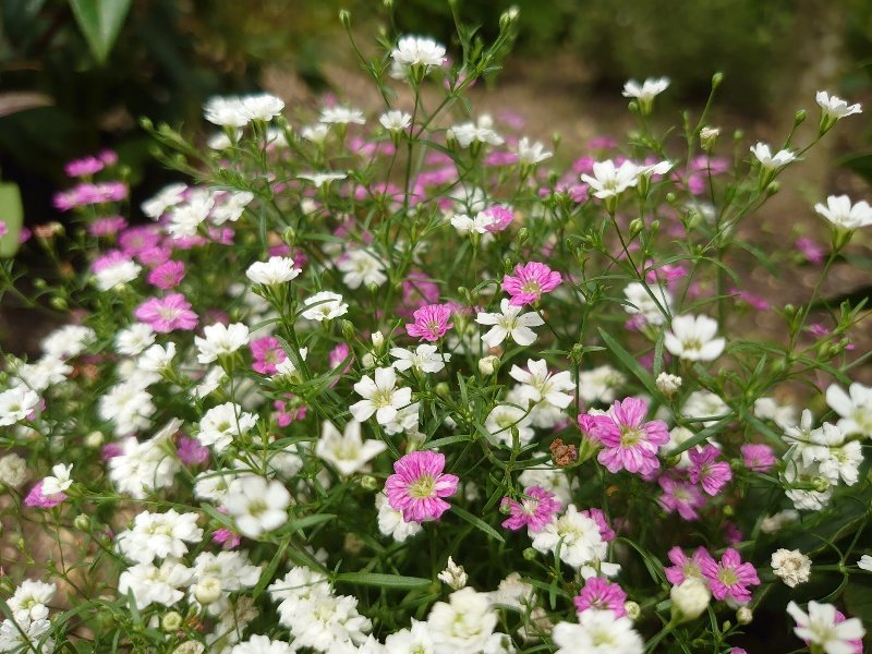f：id：roukenhome-ann：20200603214602j：plain