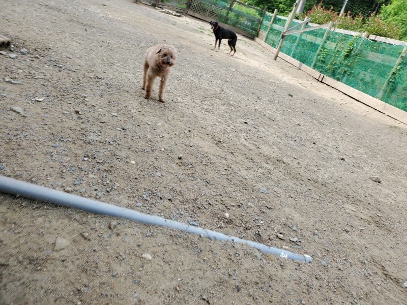 f:id:roukenhome-ann:20200604083226j:plain f:id:roukenhome-ann:20200604083226j:plain