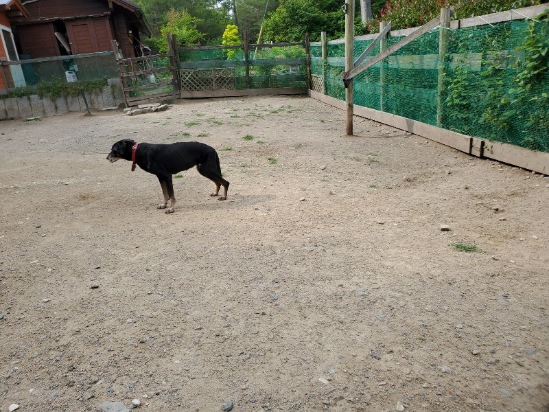 f:id:roukenhome-ann:20200604083340j:plain f:id:roukenhome-ann:20200604083340j:plain