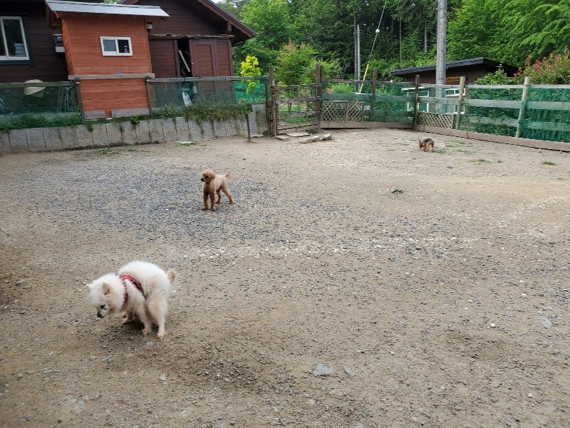 f:id:roukenhome-ann:20200604083718j:plain f:id:roukenhome-ann:20200604083718j:plain