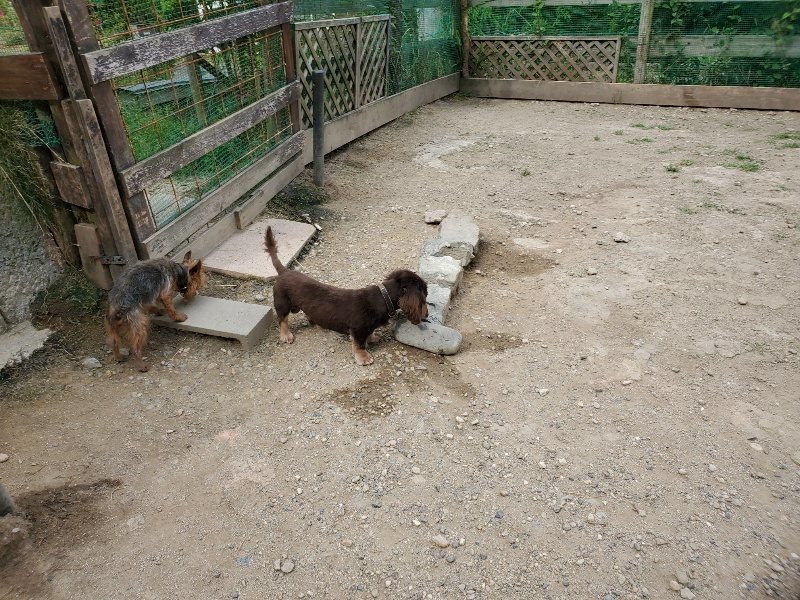 f:id:roukenhome-ann:20200604083929j:plain f:id:roukenhome-ann:20200604083929j:plain
