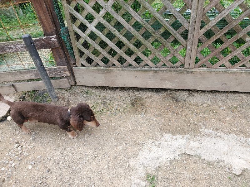 f:id:roukenhome-ann:20200604083945j:plain f:id:roukenhome-ann:20200604083945j:plain