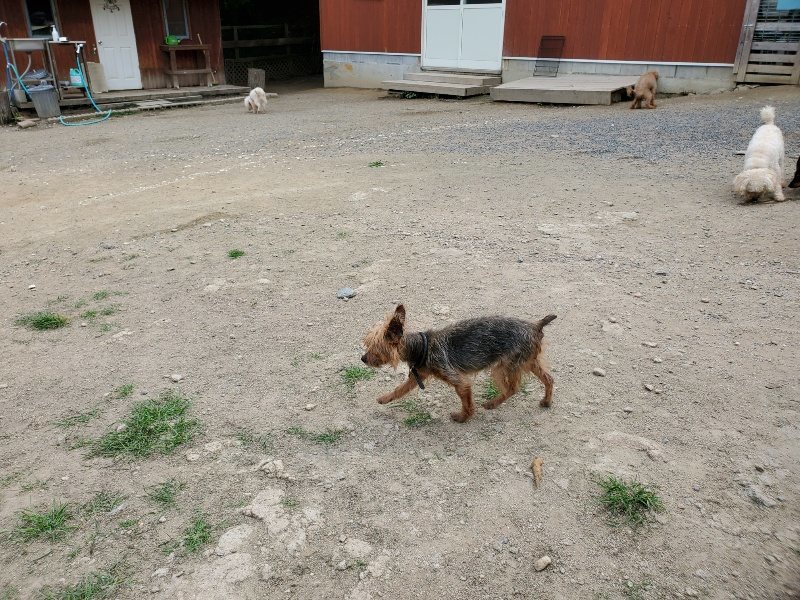 f:id:roukenhome-ann:20200604083955j:plain f:id:roukenhome-ann:20200604083955j:plain
