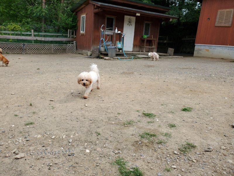 f:id:roukenhome-ann:20200604084016j:plain f:id:roukenhome-ann:20200604084016j:plain