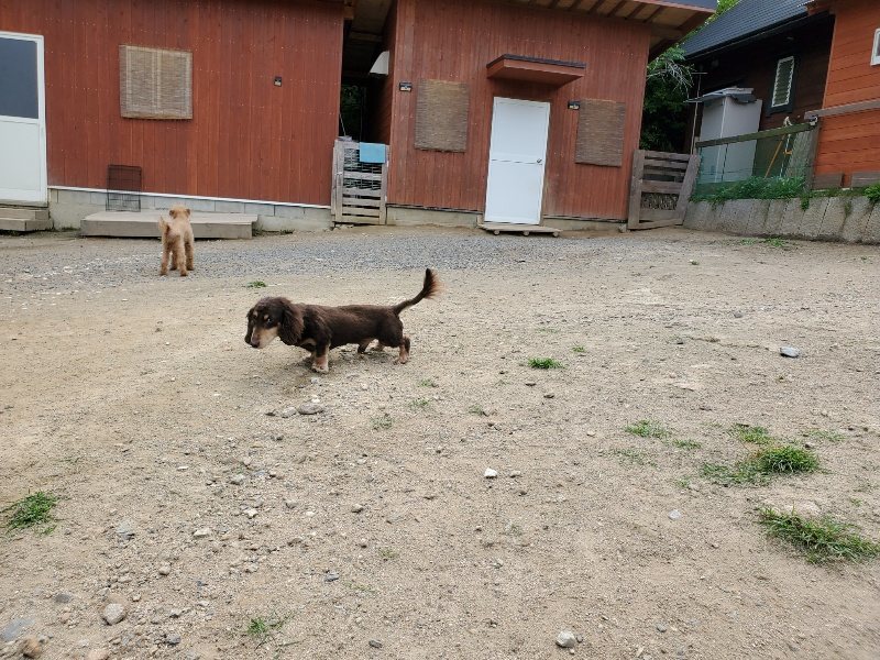 f:id:roukenhome-ann:20200604084032j:plain f:id:roukenhome-ann:20200604084032j:plain