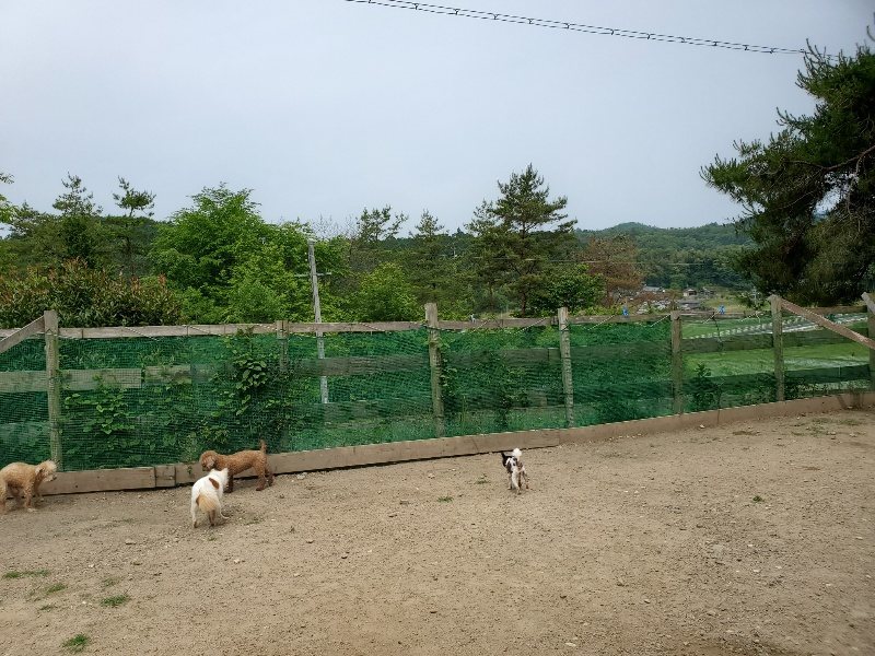 f:id:roukenhome-ann:20200604084215j:plain f:id:roukenhome-ann:20200604084215j:plain