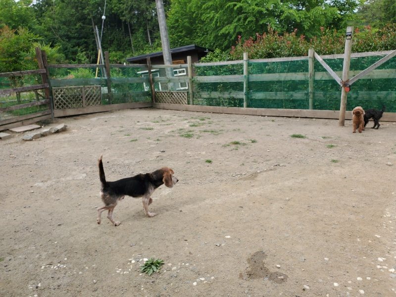 f:id:roukenhome-ann:20200604084257j:plain f:id:roukenhome-ann:20200604084257j:plain