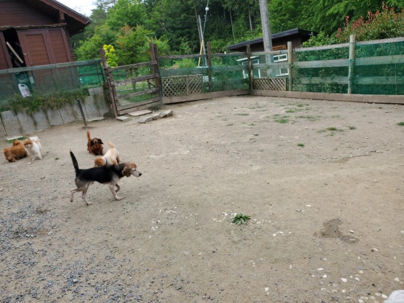 f:id:roukenhome-ann:20200604084303j:plain f:id:roukenhome-ann:20200604084303j:plain