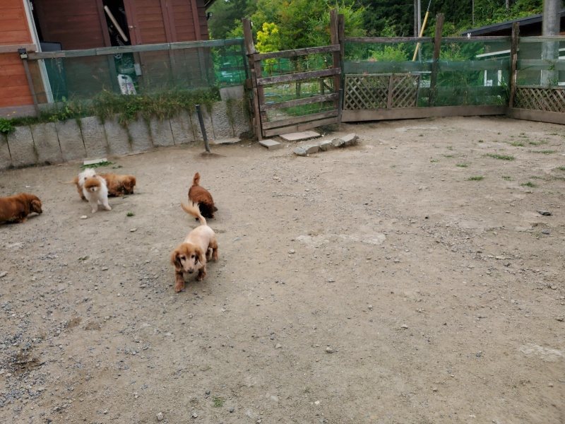 f:id:roukenhome-ann:20200604084312j:plain f:id:roukenhome-ann:20200604084312j:plain