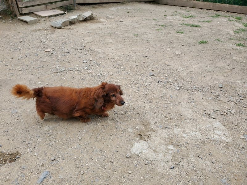f:id:roukenhome-ann:20200604084337j:plain f:id:roukenhome-ann:20200604084337j:plain