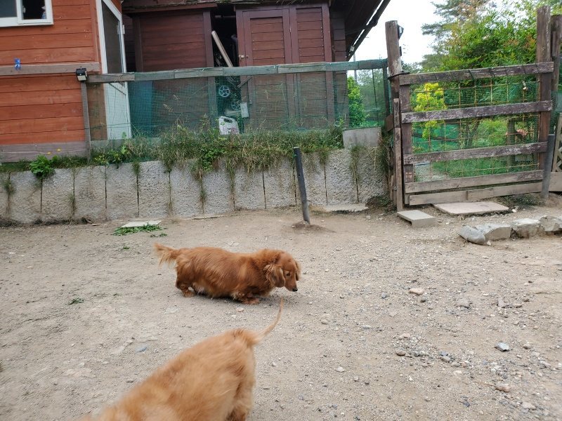 f:id:roukenhome-ann:20200604084403j:plain f:id:roukenhome-ann:20200604084403j:plain