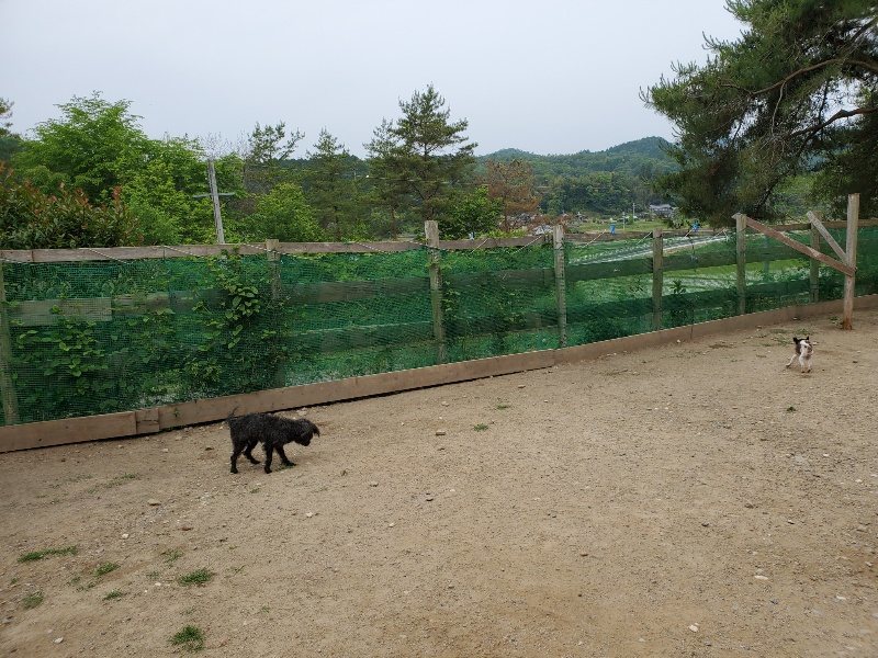 f:id:roukenhome-ann:20200604084541j:plain f:id:roukenhome-ann:20200604084541j:plain