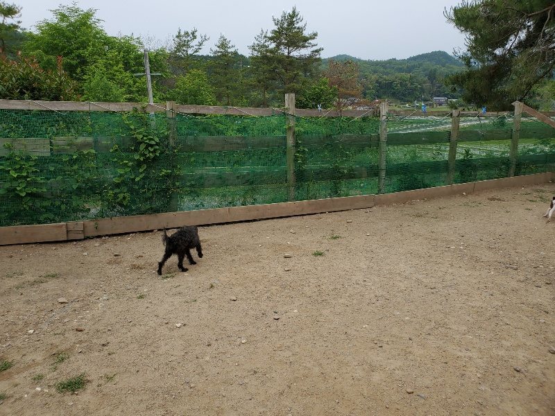 f:id:roukenhome-ann:20200604084545j:plain f:id:roukenhome-ann:20200604084545j:plain