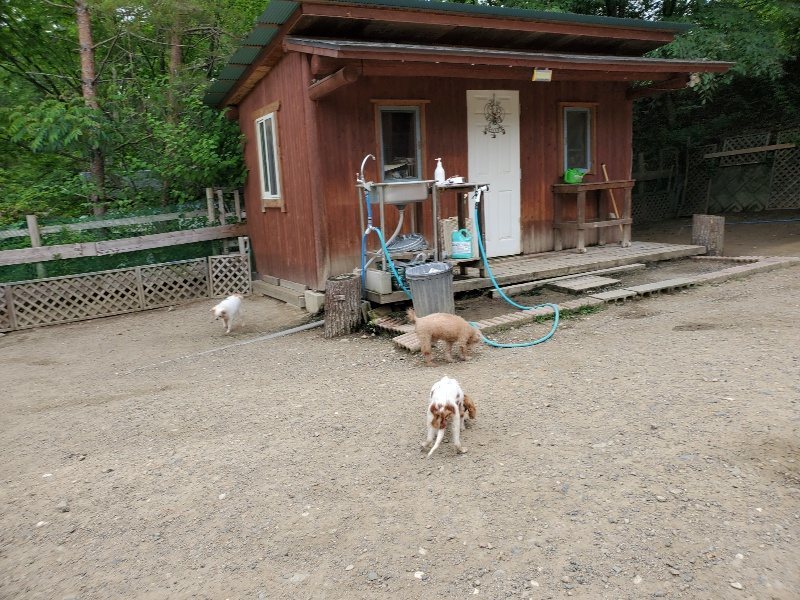 f:id:roukenhome-ann:20200604084556j:plain f:id:roukenhome-ann:20200604084556j:plain