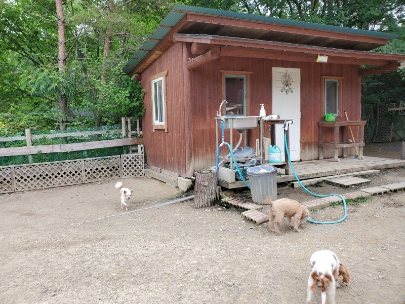 f:id:roukenhome-ann:20200604084601j:plain f:id:roukenhome-ann:20200604084601j:plain